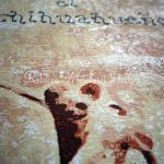 'Dogs of the World' Linopri..